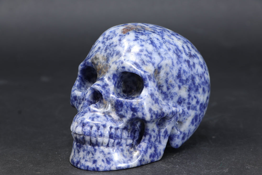 3.5" Sodalite Skull Carving TU3786