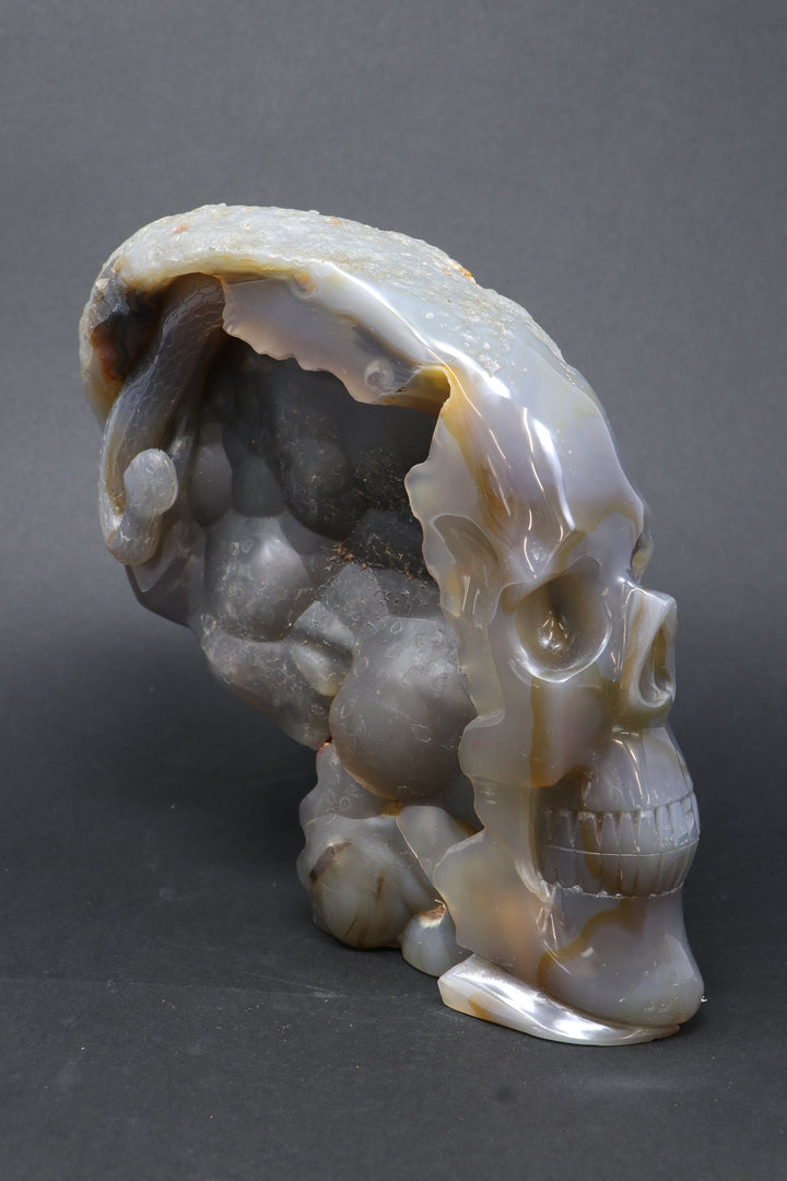 Agate Skull with Snake TU3790