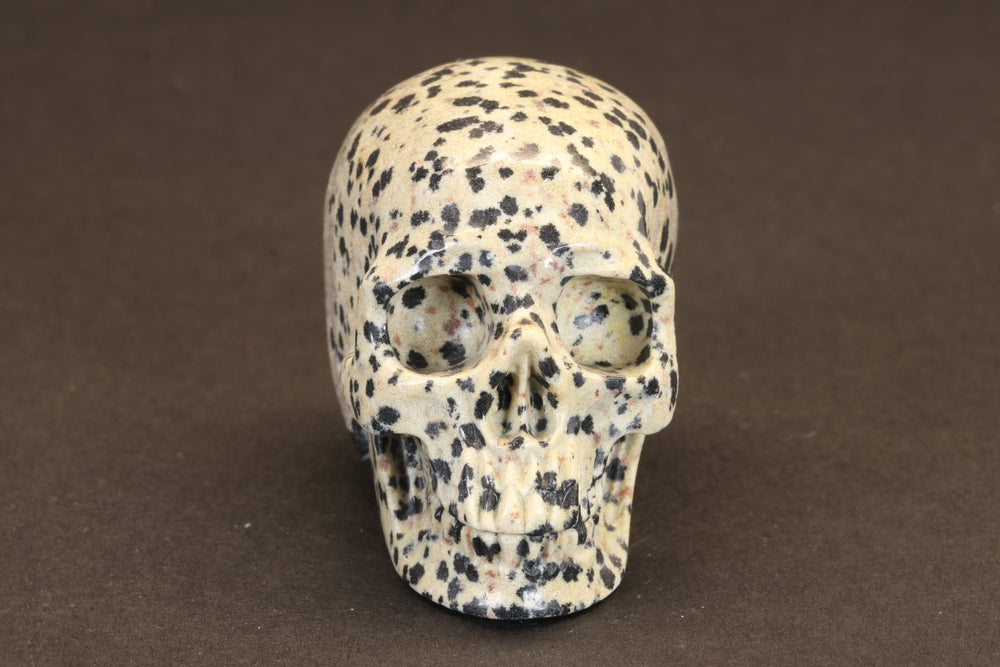 Dalmatian Jasper Skull TU391