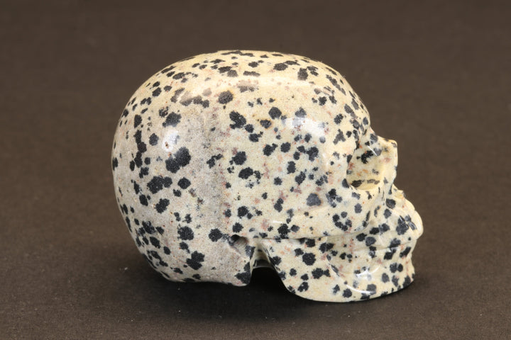 Dalmatian Jasper Skull TU391