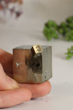 Spanish Pyrite Cube TU450