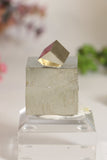 Spanish Pyrite Cube TU468