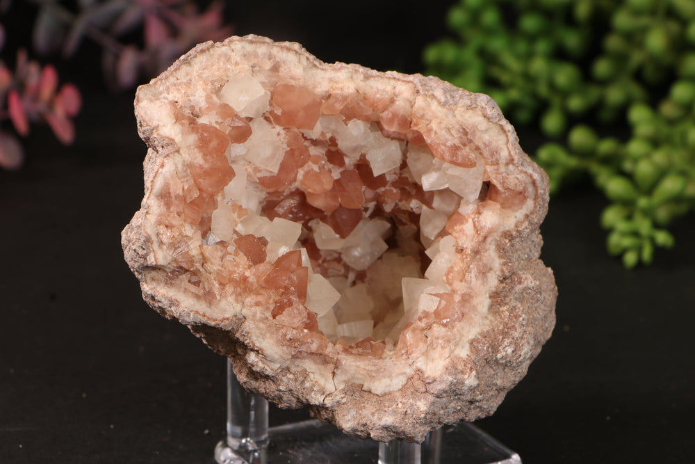 Pink Amethyst Geode TU474
