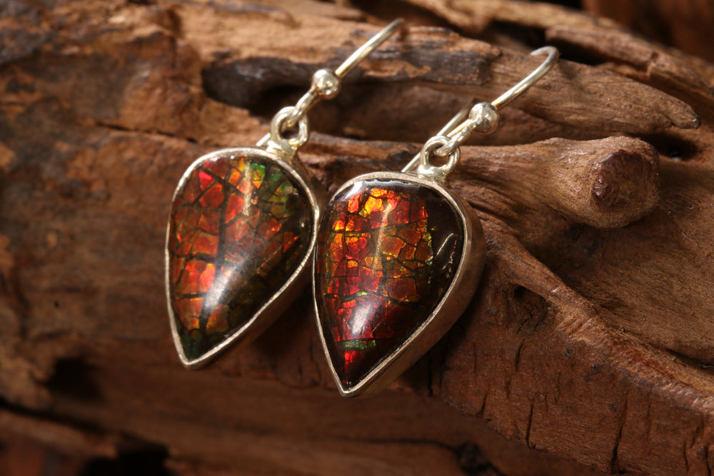 Ammolite Earrings TU817