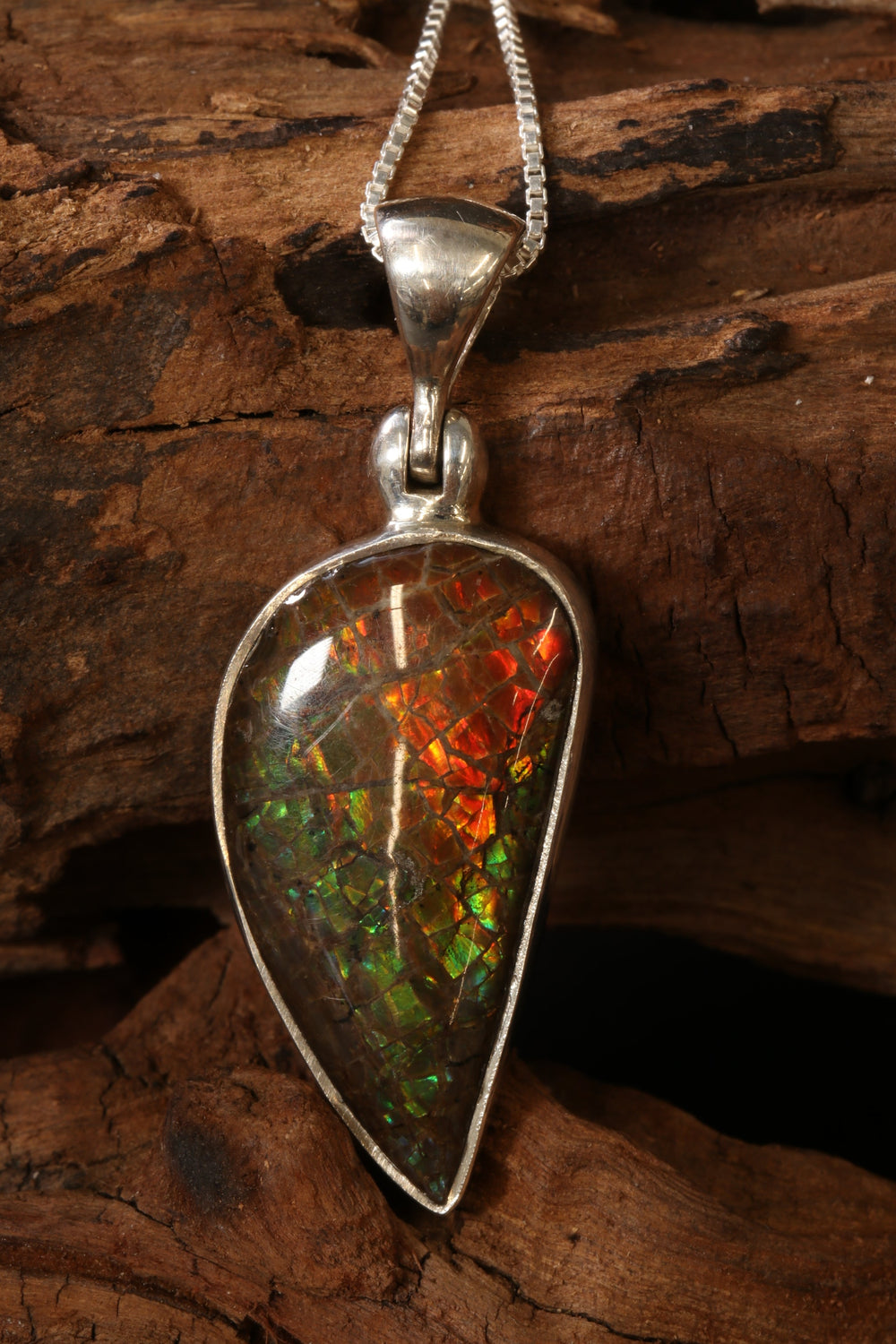 Ammolite Pendant TU820