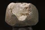 Natrolite Geode TV081