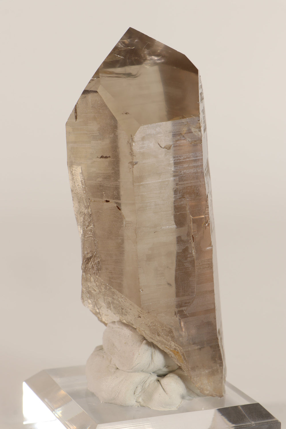 4.5" Smoky Lemurian TV337