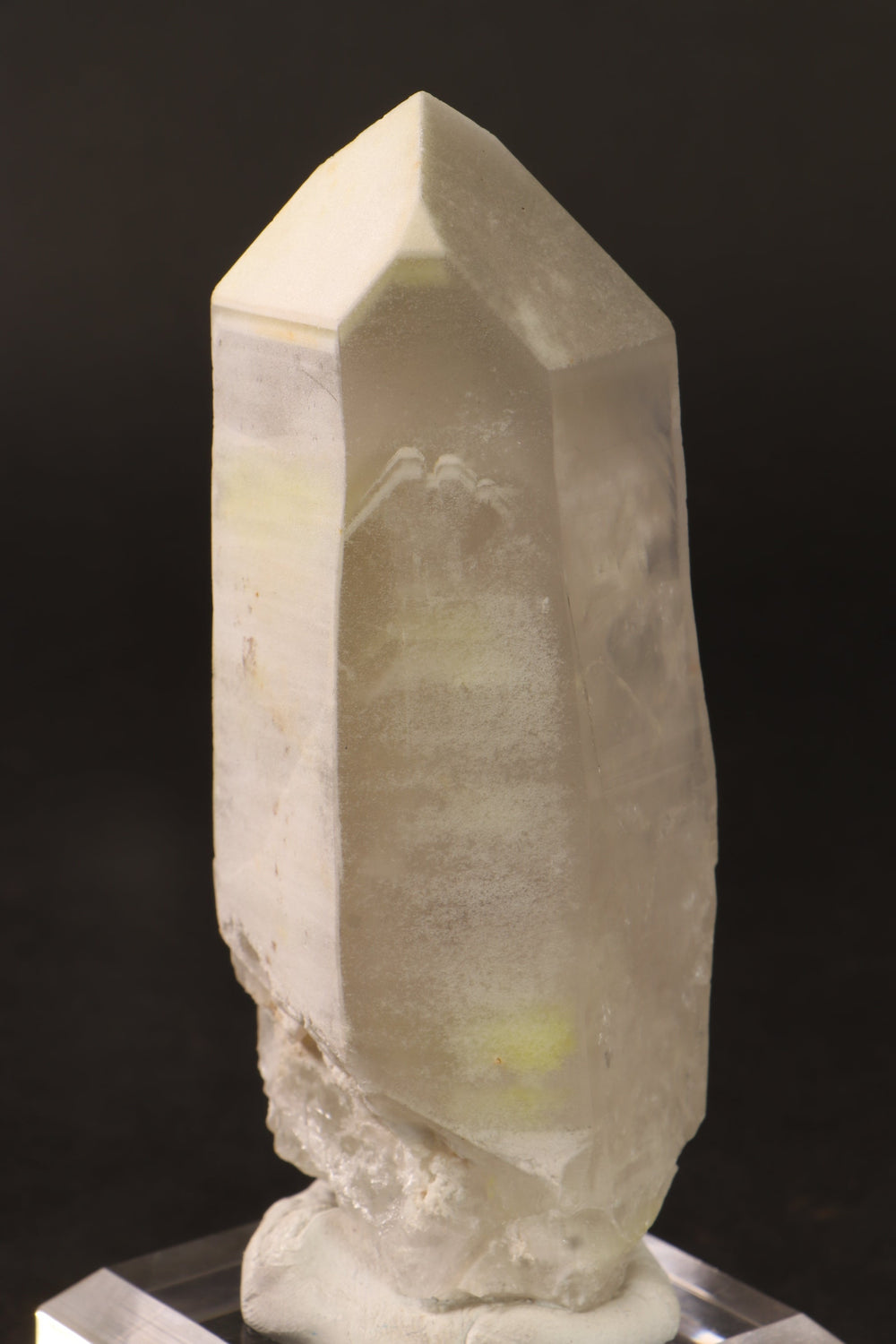 4.5" Phantom Lemurian TV653