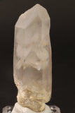 4" Phantom Lemurian TV658