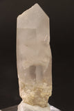 4" Phantom Lemurian TV658