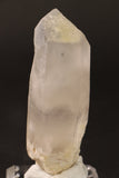 4" Phantom Lemurian TV658