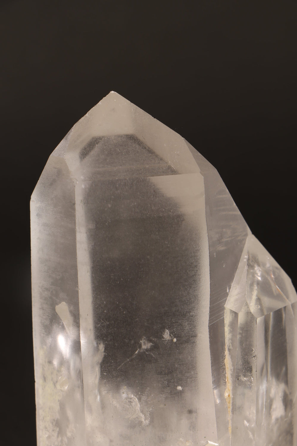 5" Phantom Lemurian TV663