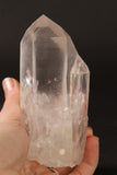 5" Phantom Lemurian TV663