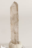 5" Smoky Lemurian TV758