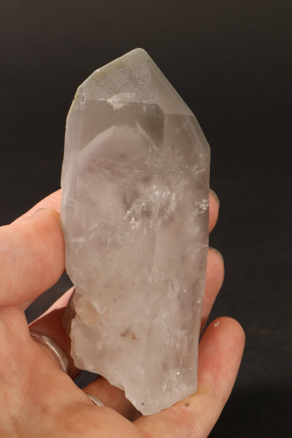 3.5" Phantom Lemurian TV866