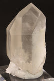 3" Phantom Lemurian TV880