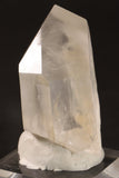3" Phantom Lemurian TV880